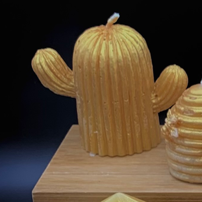 Cactus candle from Elidyr Communities Trust